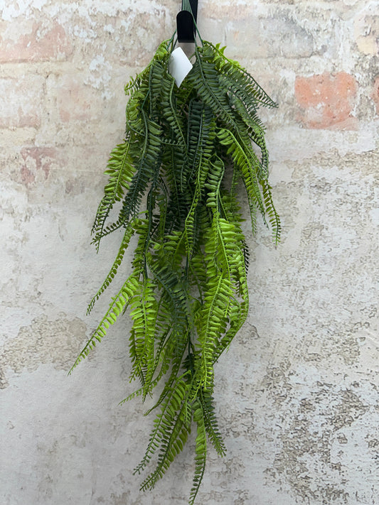 PLS FERN HANG BUSH GRN   43391