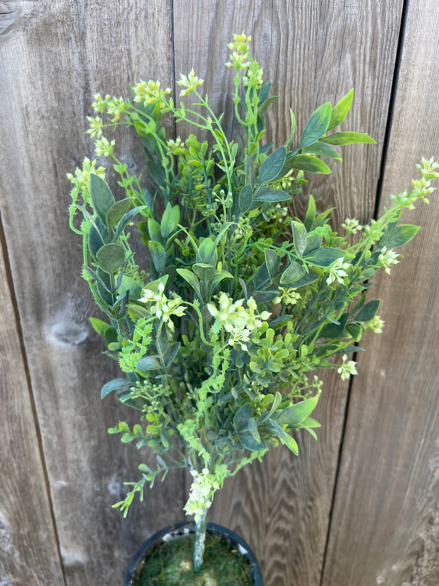 MIXED GREENERY BUSH  81577