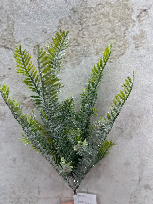 Snow Fern Pick   XP55837