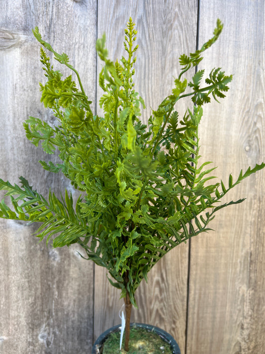 MIXED SOFT TOUCH FERN   85536-UV