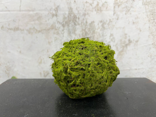 FAUX MOSS/ANGELVINE BALL    TB550209