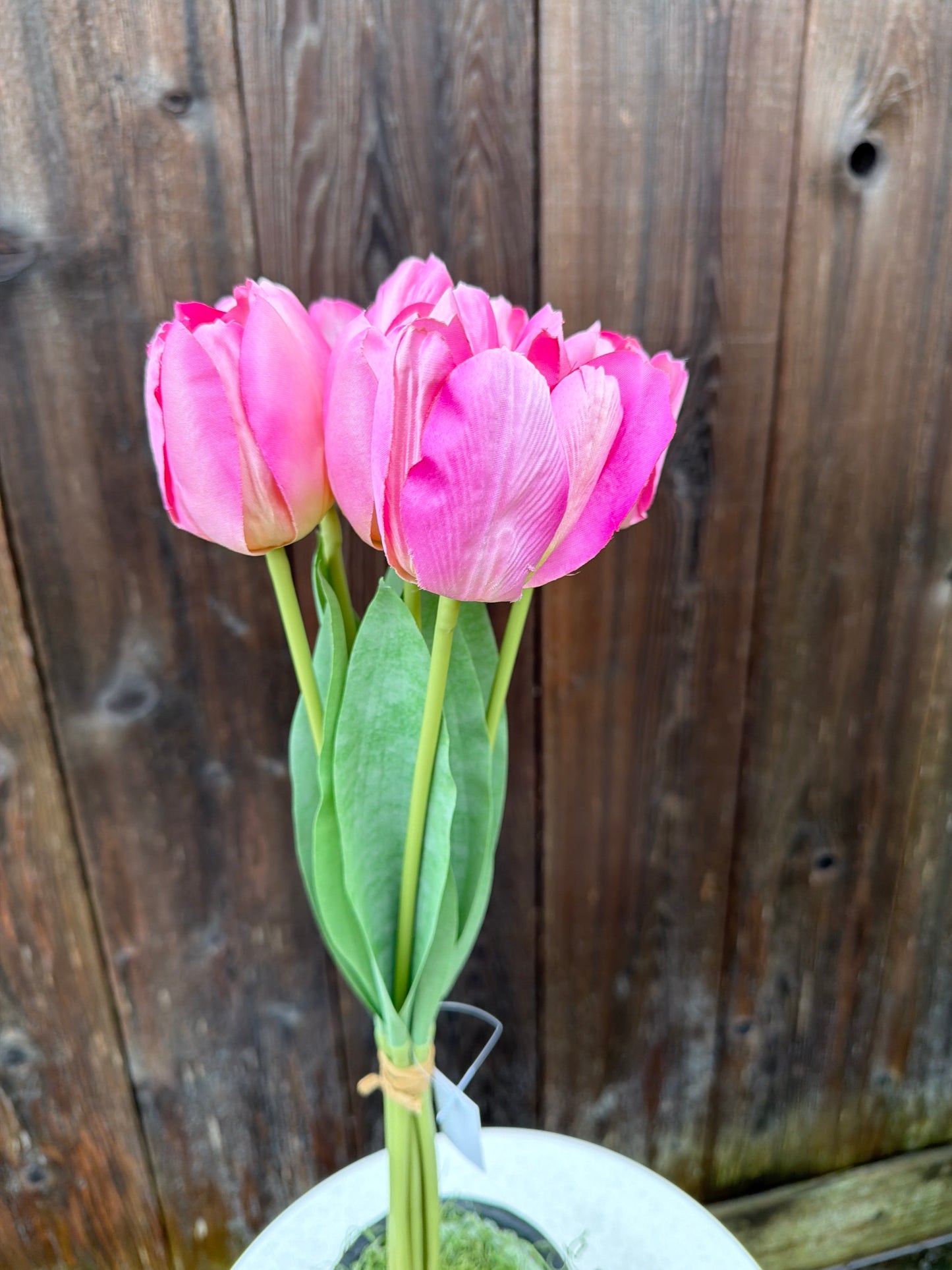 TULIP BUNDLE    85640-LT.PK
