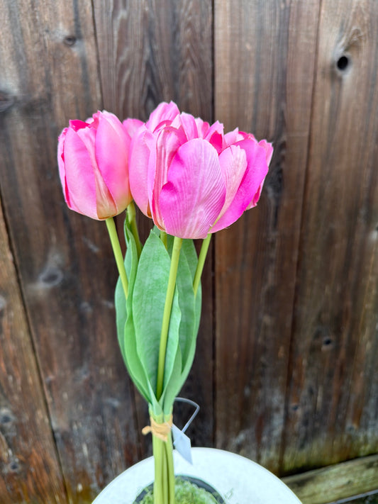 TULIP BUNDLE    85640-LT.PK