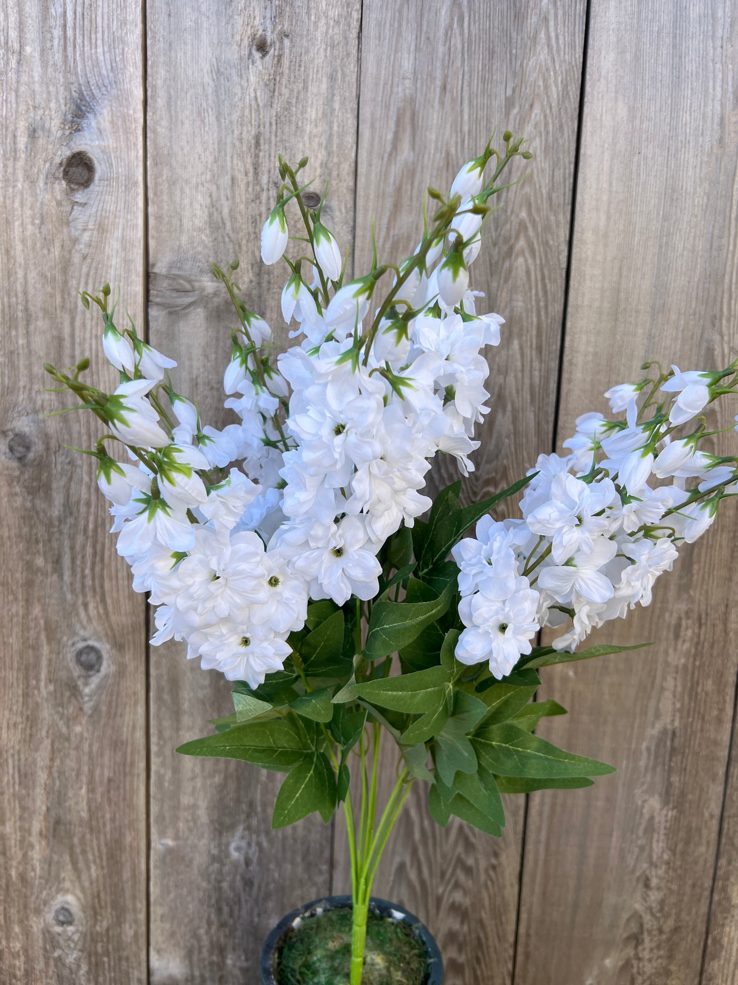 DELPHINIUM BUSH   83439-WT