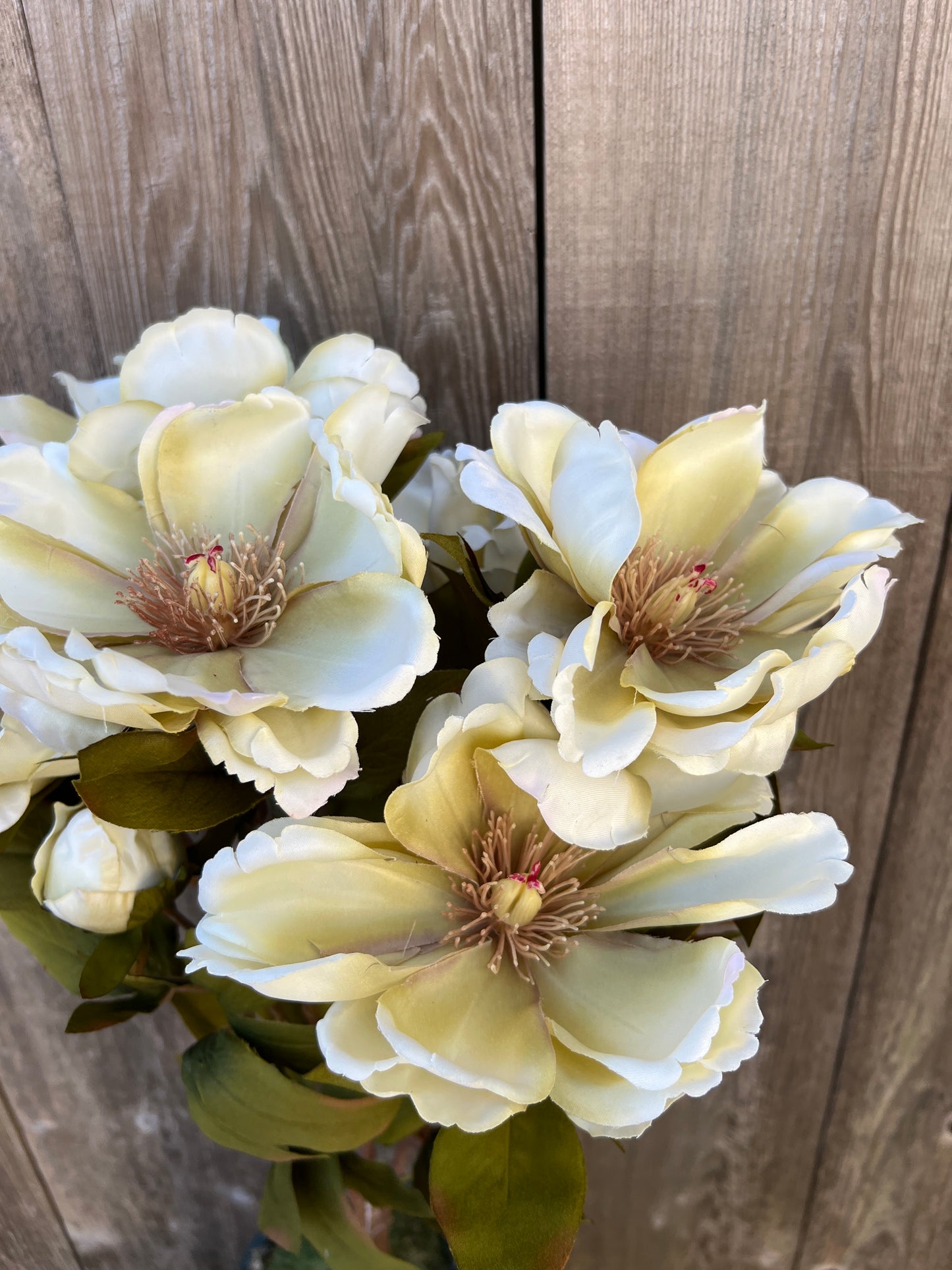 MAGNOLIA BUSH   52371-BEIGE