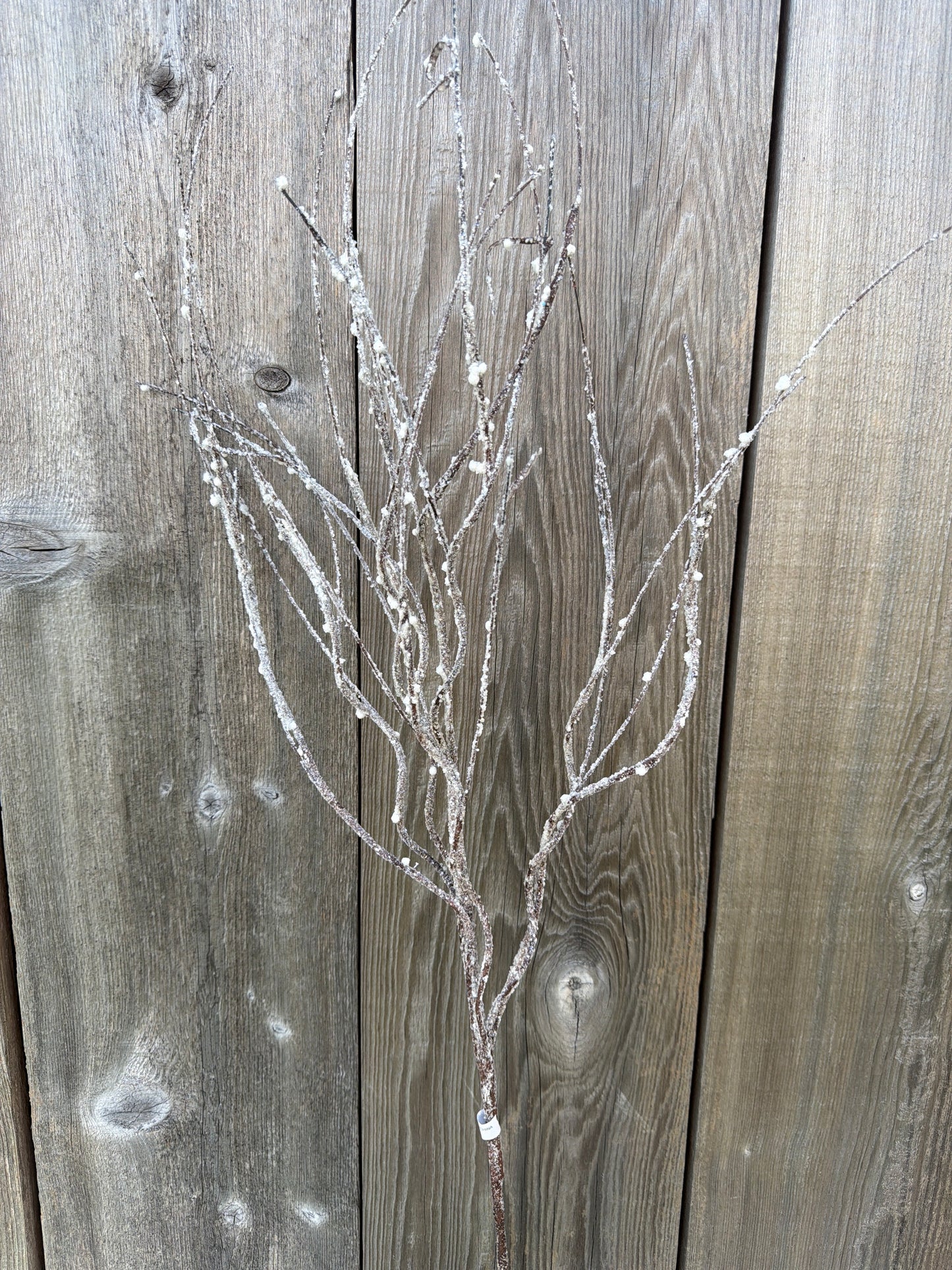 FROSTED CURLY TWIG SPRAY     MTX62131