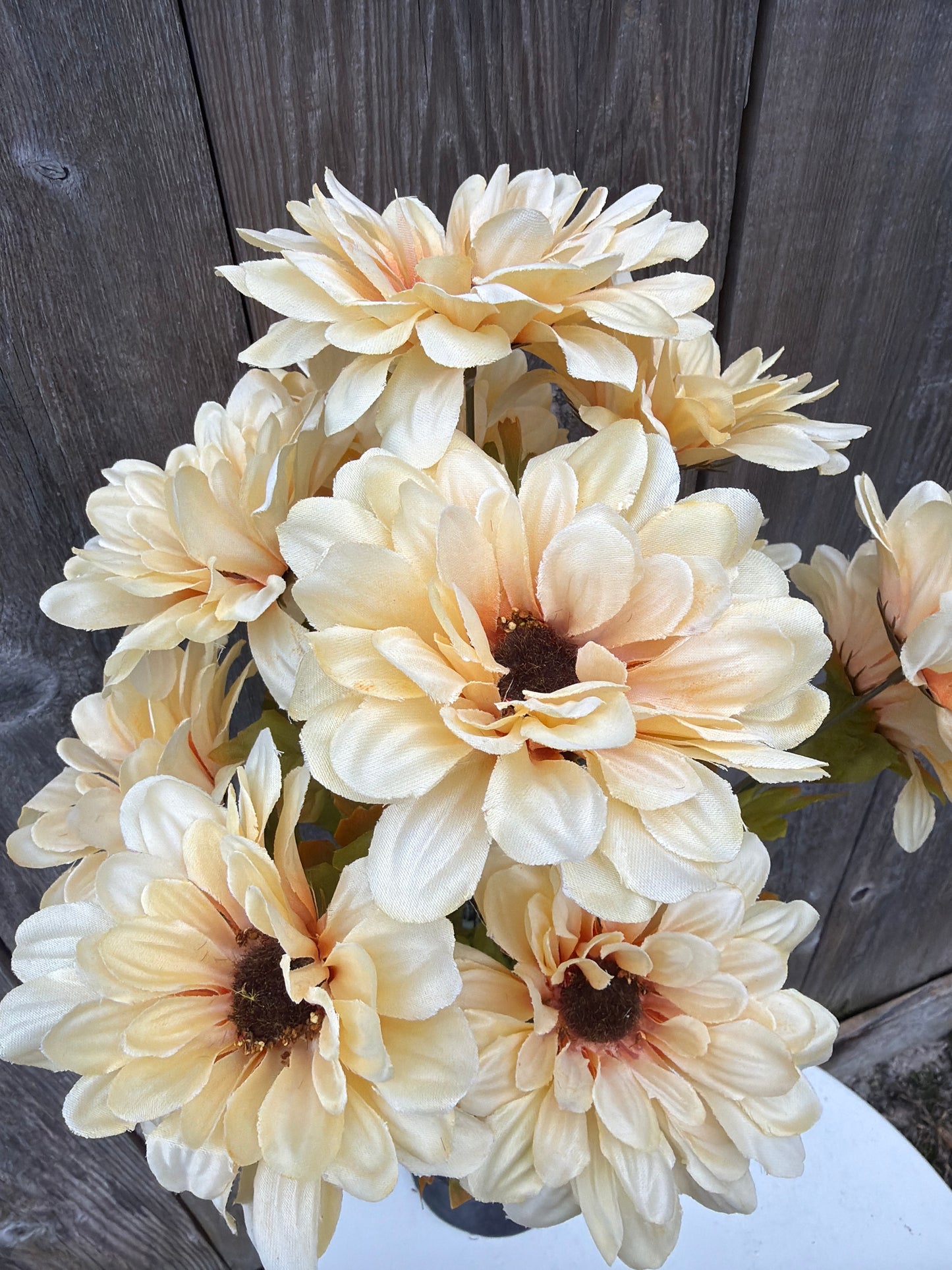 GERBER DAISY  YEL/CR   72511