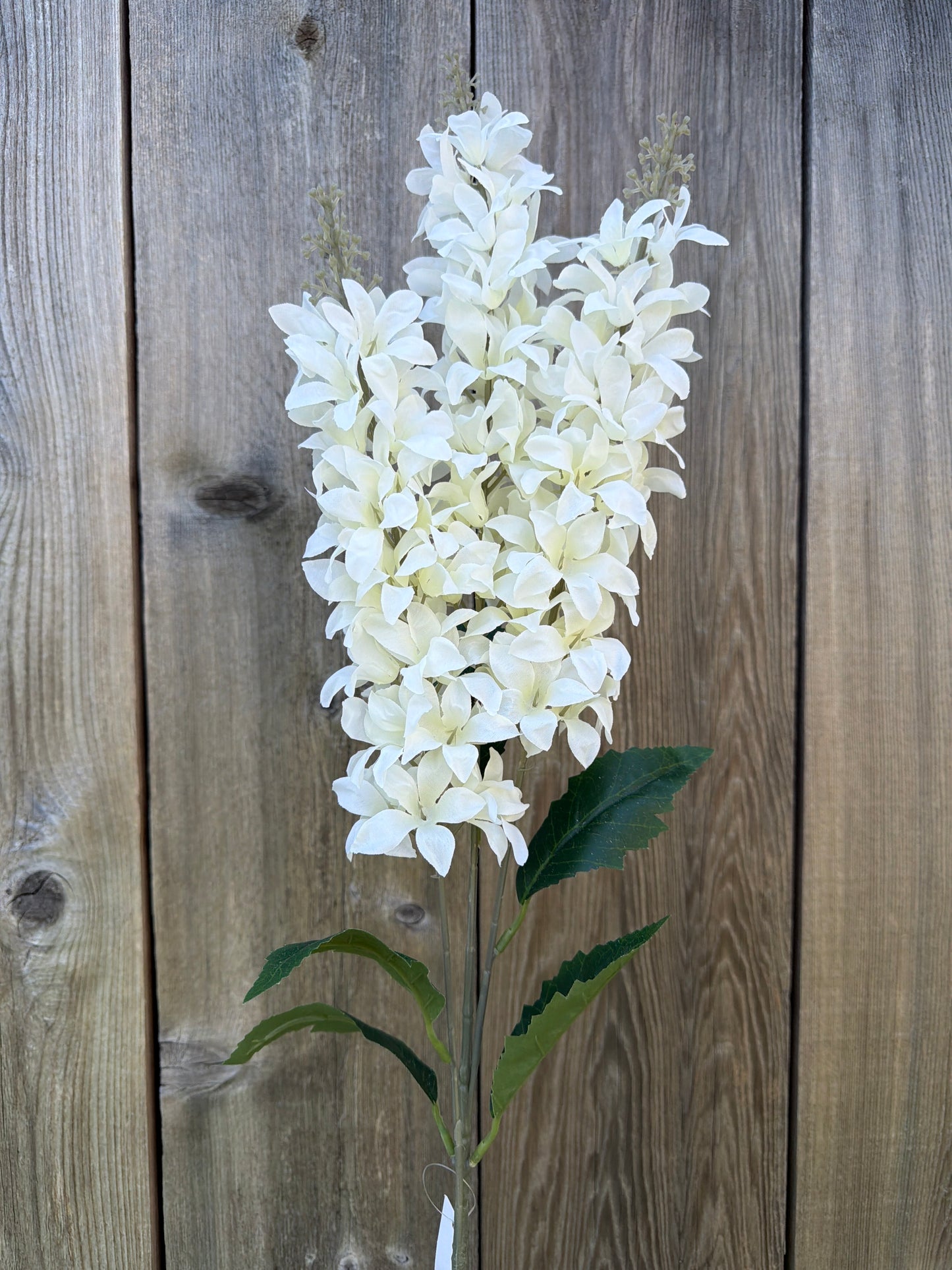 HYACINTH SPRAY     85470-CR