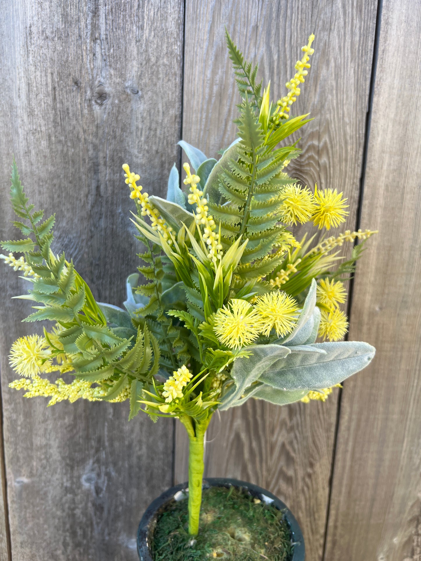 MIXED GLOBE THISTLE   65640-YEL