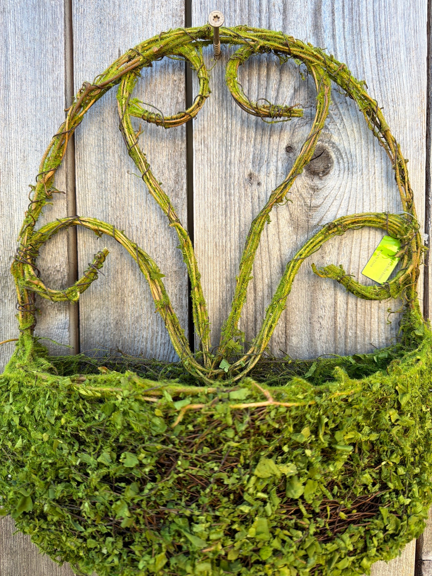 Moss Basket   62061GN