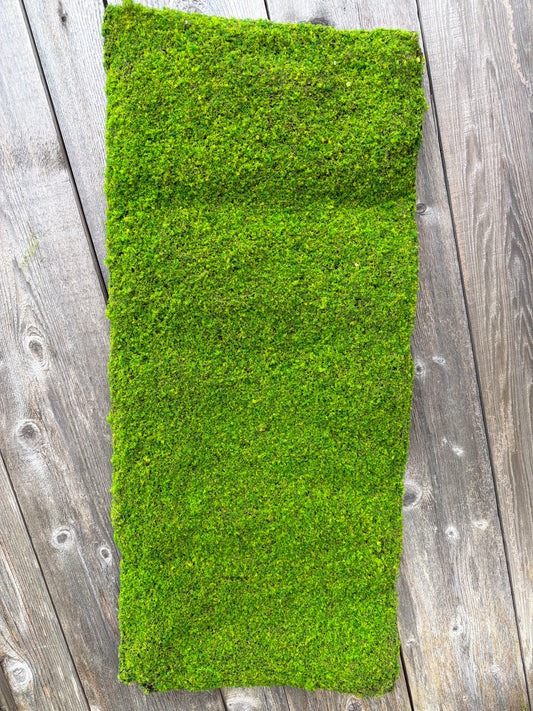 35.25"LX15.75"W FLOCKED FAUX MOSS                MD1783