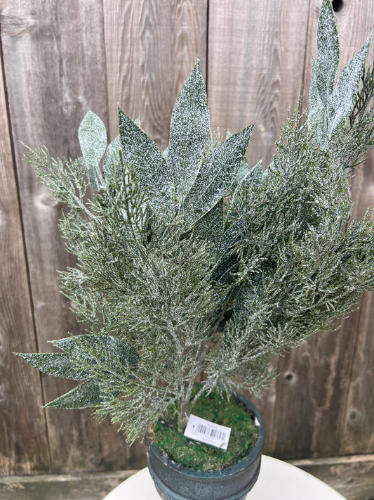 MIXED CYPRESS OLIVE LVS     83655