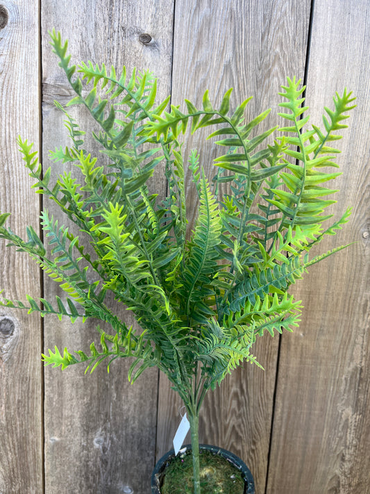 PLASTIC FERN BUSH   83353-FROSTED