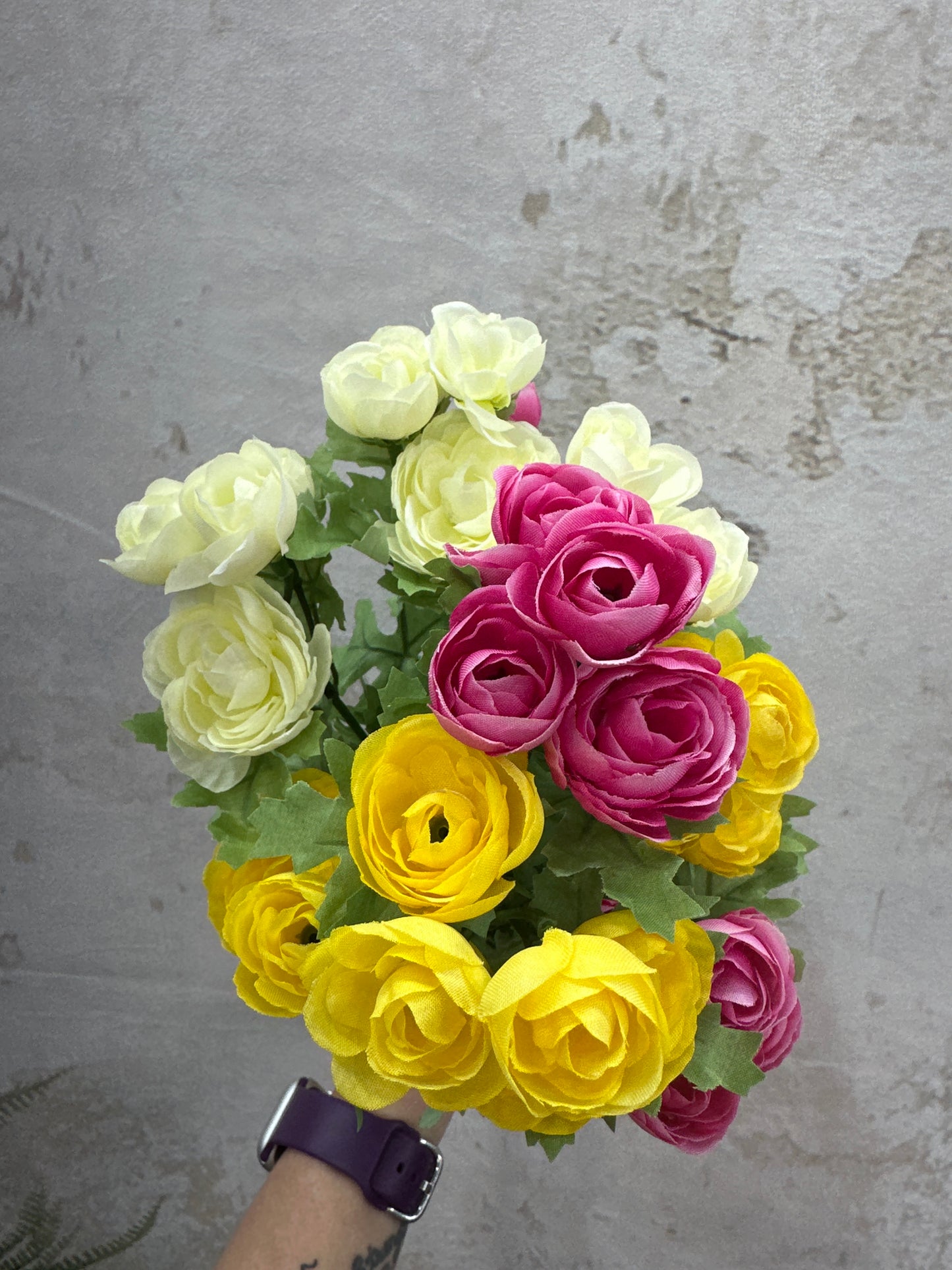 MINI RANUNCULUS BUSH     84055-CRYELFU