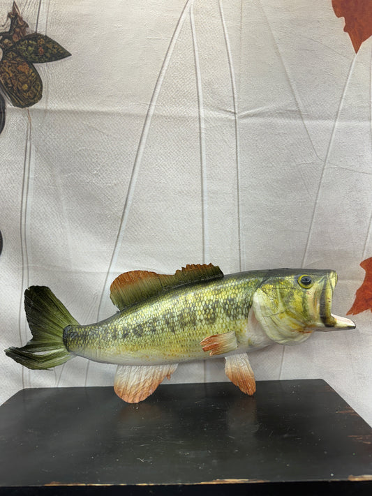 LARGEMOUTH BASS Fish    MK2086