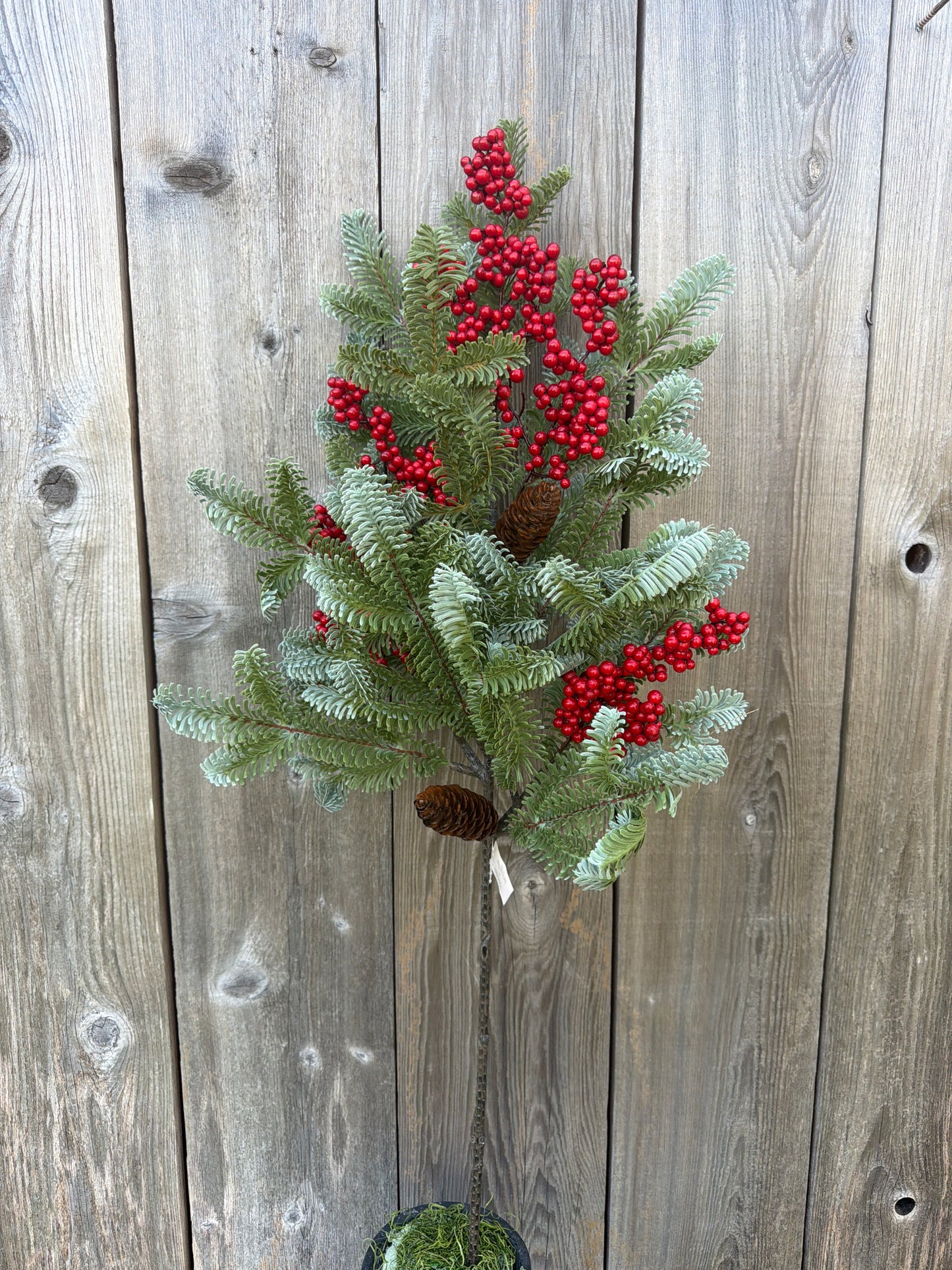 Scarletton Spruce Spray      XAD1035