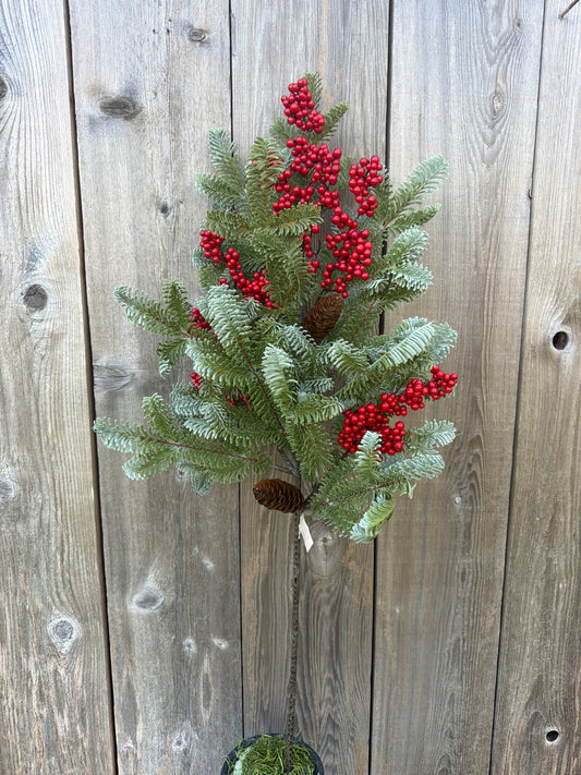 Scarletton Spruce Spray      XAD1035