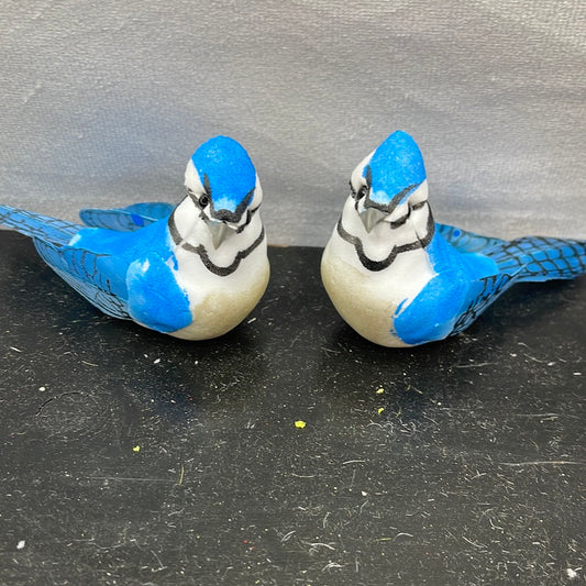 Blue Jay set of 2  D201261