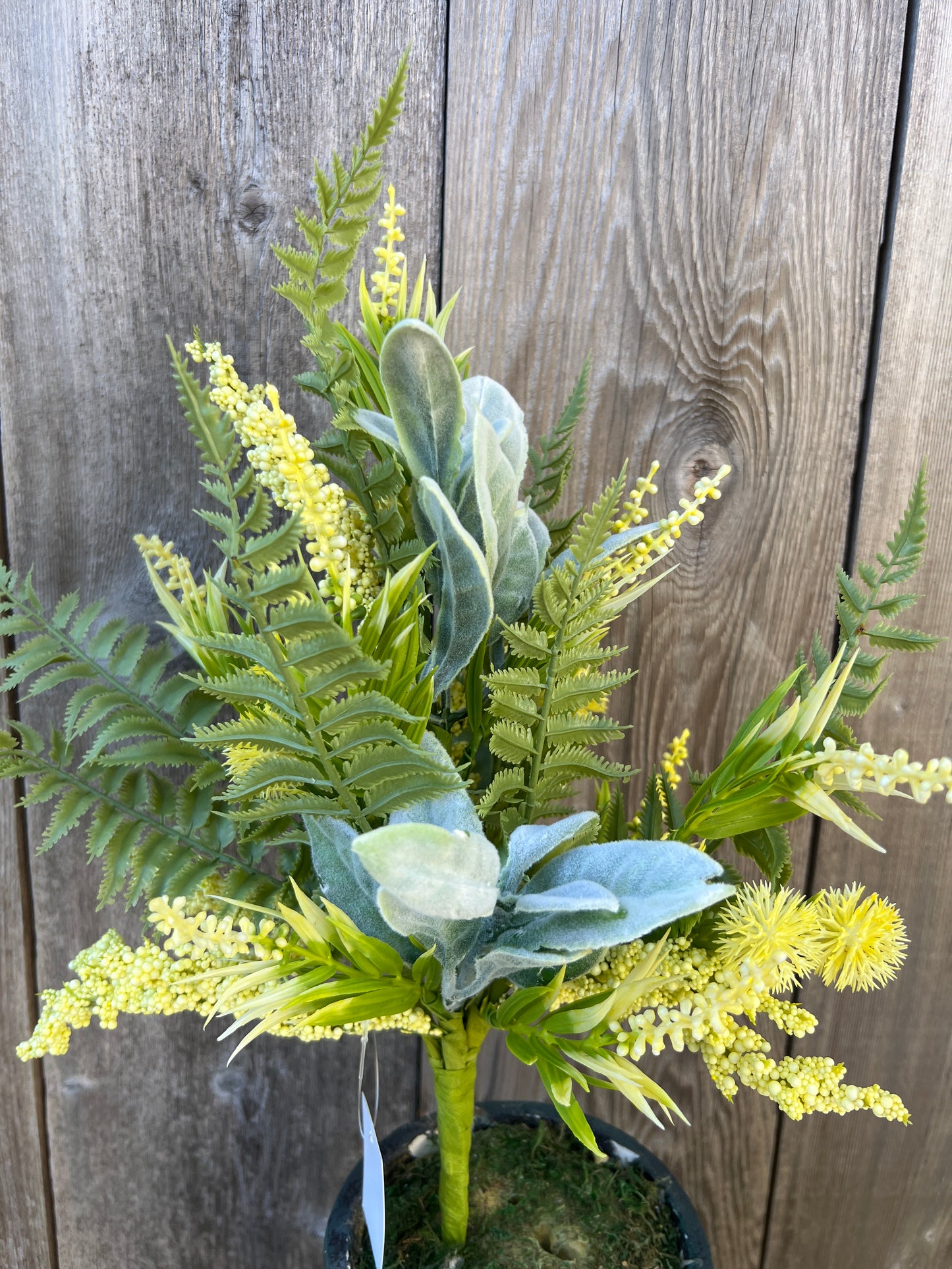 MIXED GLOBE THISTLE   65640-YEL