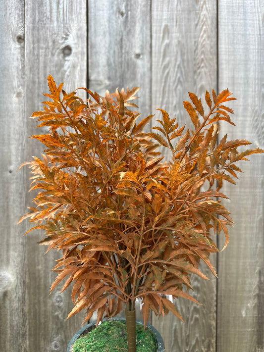 20 IN FERN BUSH    85359-UV-AUTUM