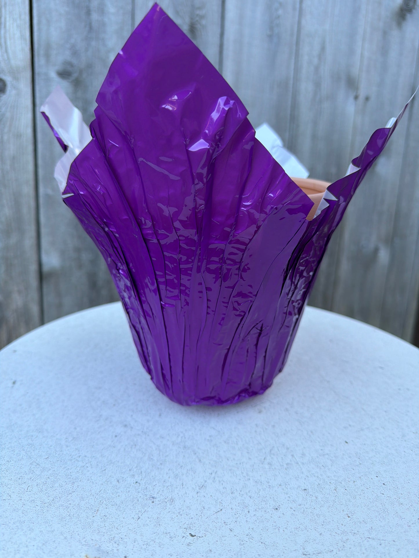 6” Speed Covers