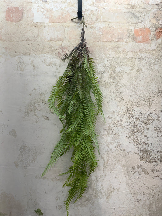 PLS BOSTON FERN HANGBSH  15773