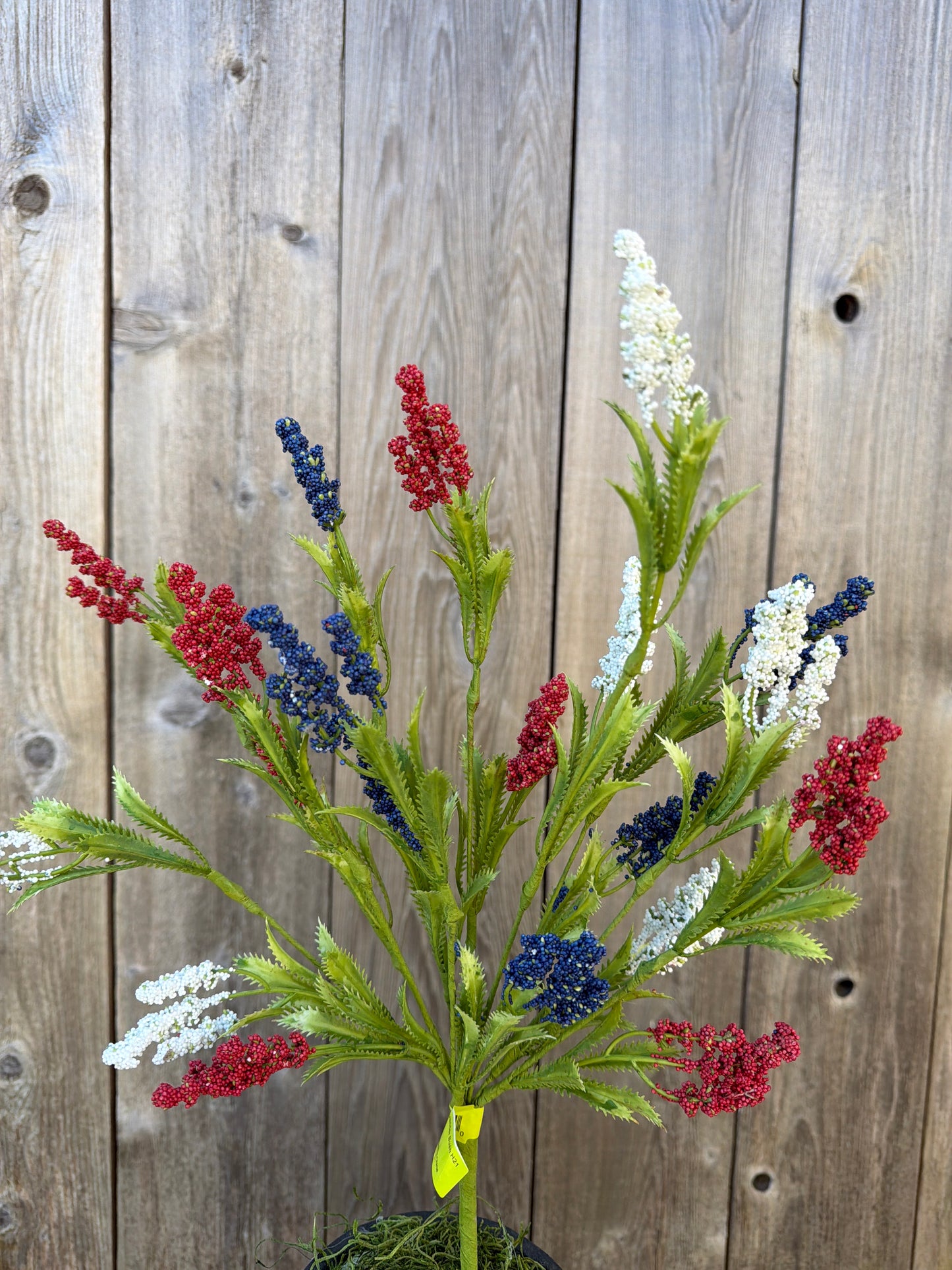 Lavender Bush   74289RWB