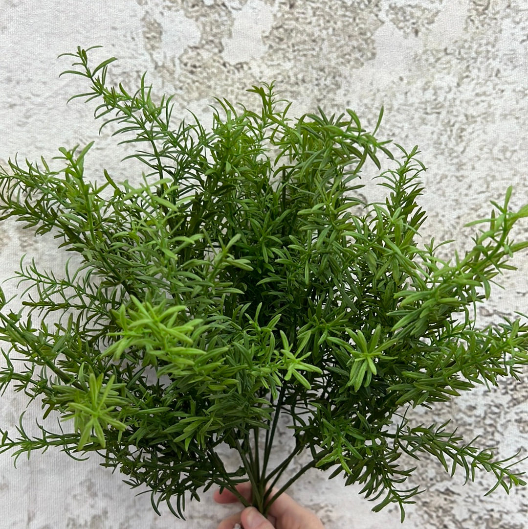 ROSEMARY BUSH    80402