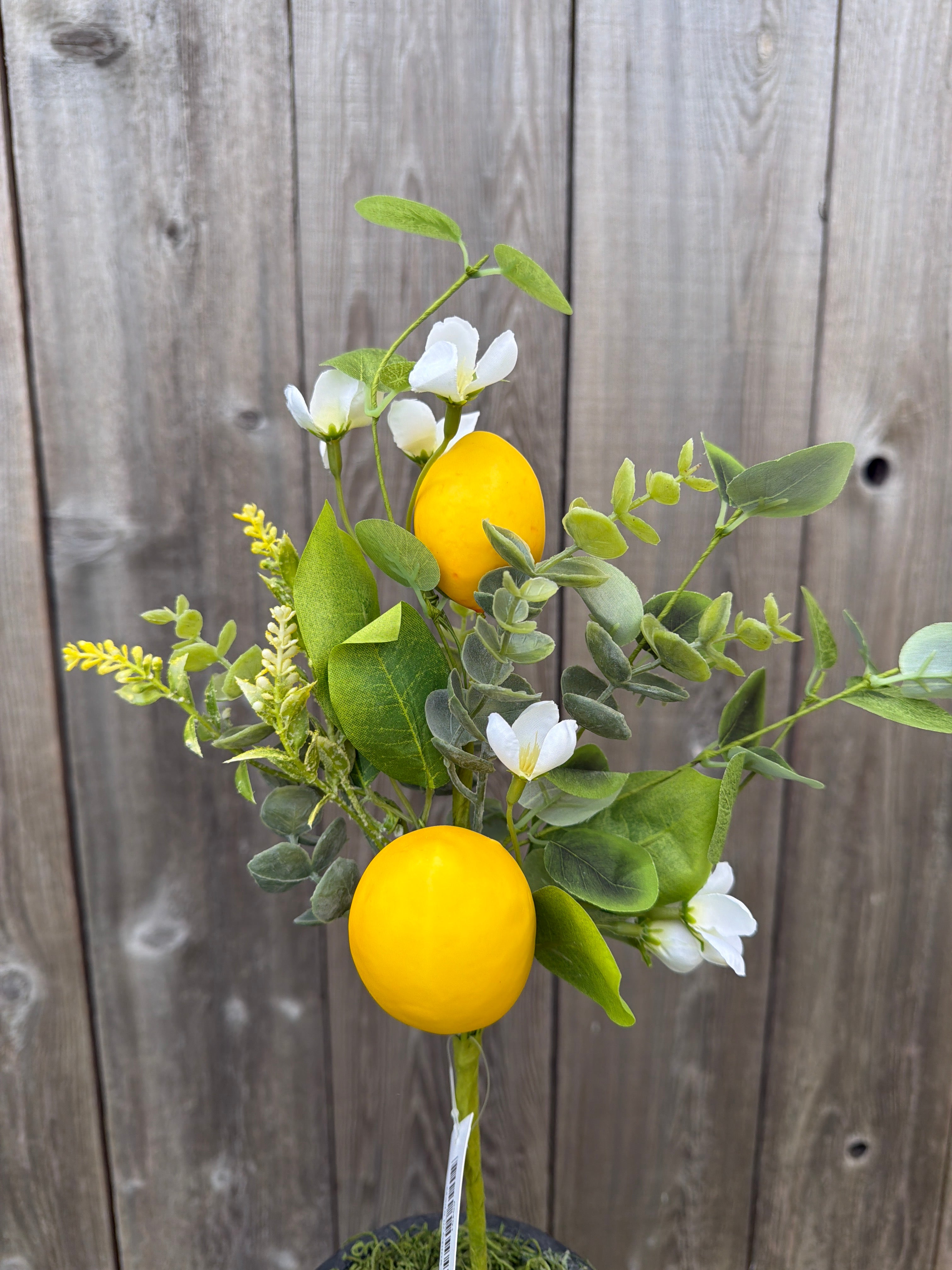 LEMON PICK 65491 – Jam Designs and Supplies