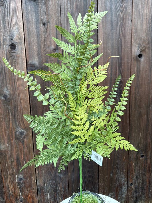 MIXED FERN SPRAY  23168