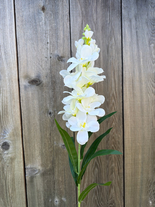 SINGLE DELPHINIUM      85471-CR