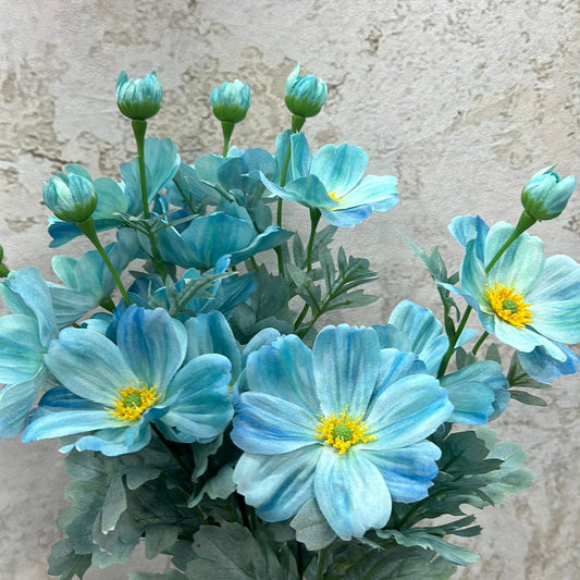 COSMOS BUSH     84299-TEAL