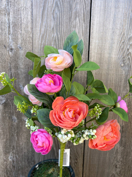 MIXED RANUNCULUS   65629-FUPHSAL