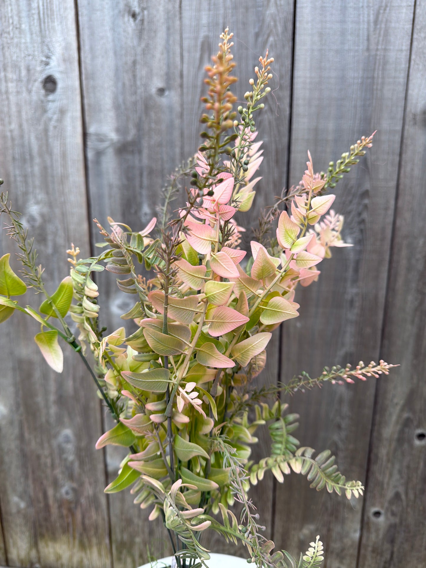 PLS FERN &LVS MX   59717
