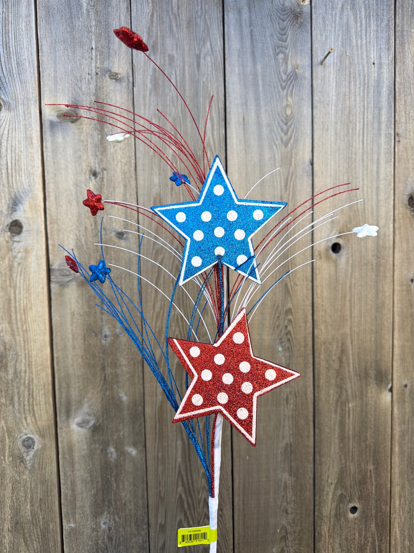 Polkadot Star Spray   74150RWB