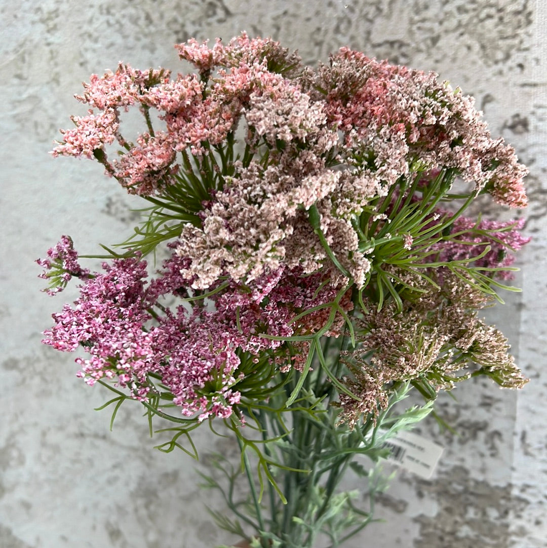 Queen Anne's Lace Bundle  6198P