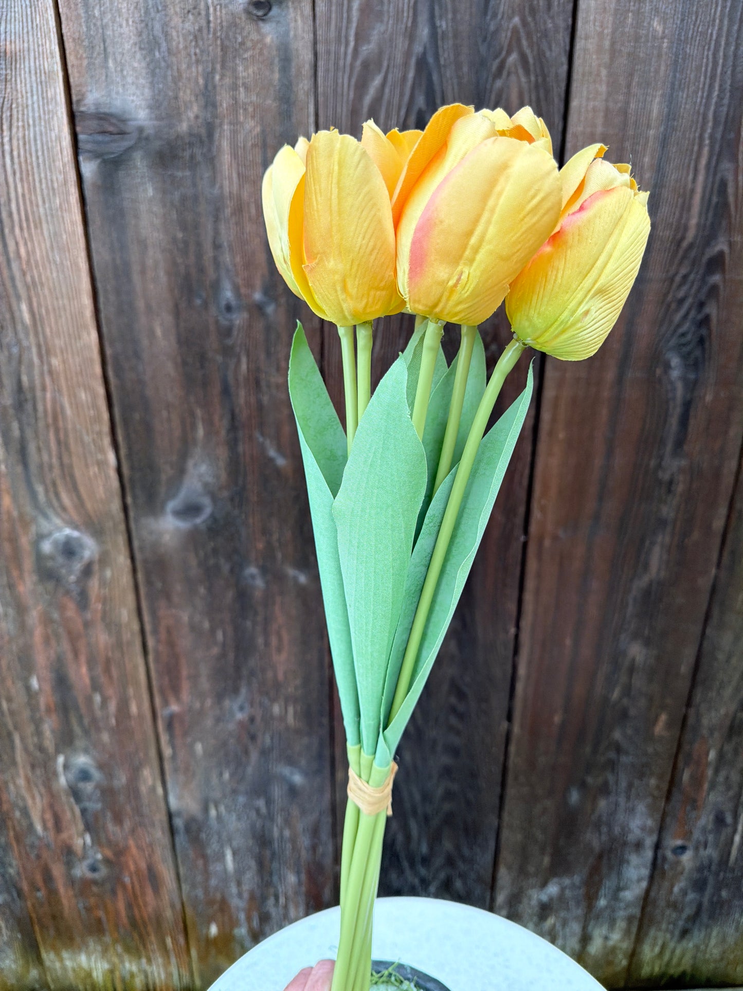 TULIP BUNDLE    85640-YEL