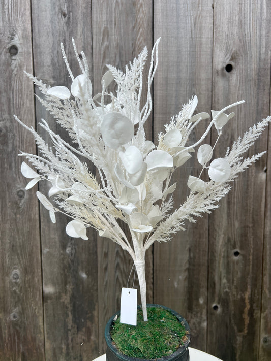 SNOW EUCALYPTUS