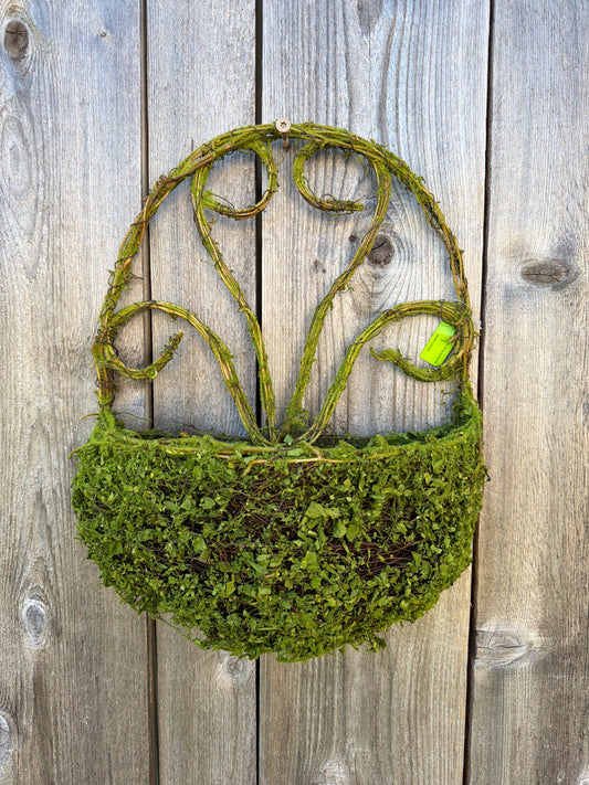 Moss Basket   62061GN