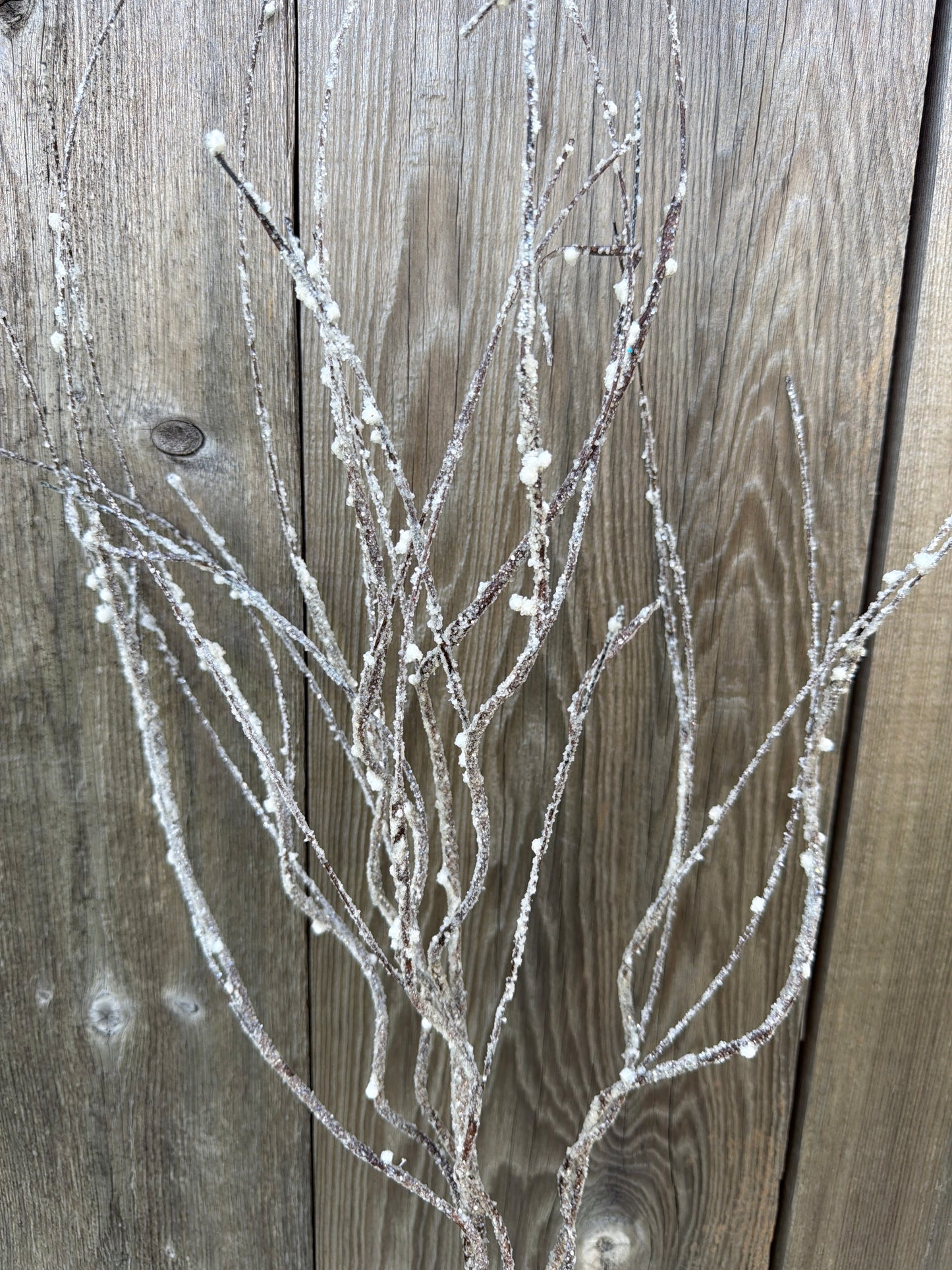 FROSTED CURLY TWIG SPRAY     MTX62131