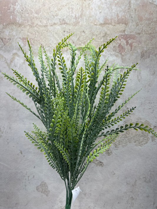 PLASTIC BUTTON FERN   80398