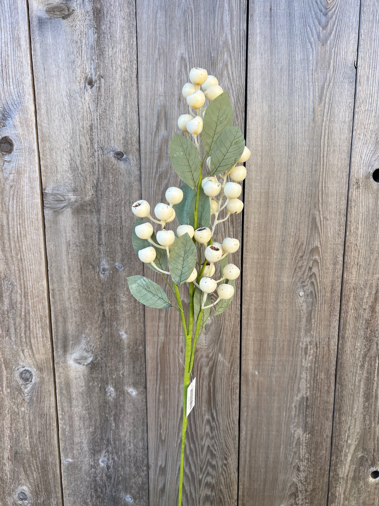 BERRY SPRAY   65444-CR