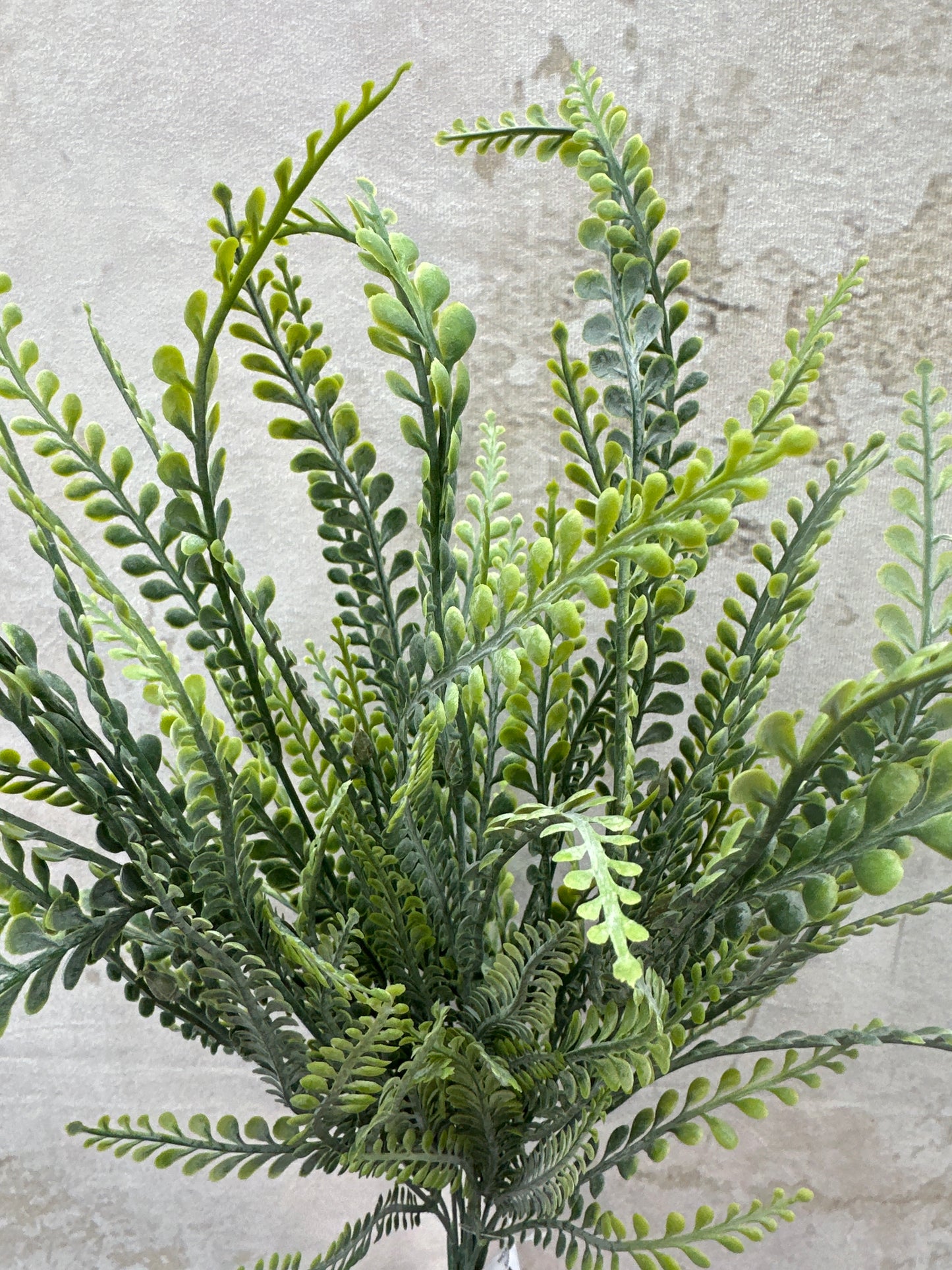 PLASTIC BUTTON FERN   80398