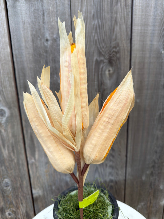 Corn X3 Pick   52476YW