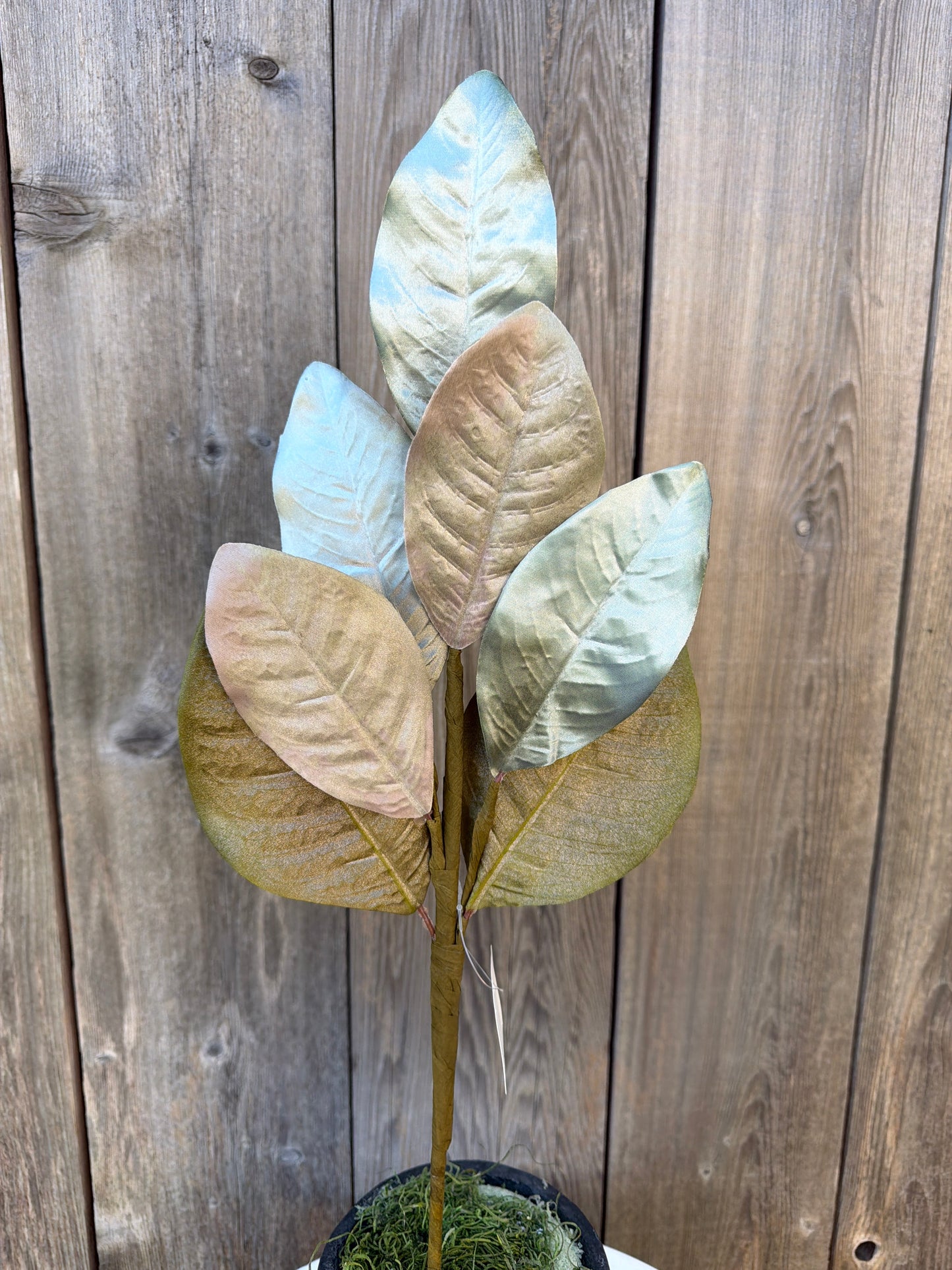 Metalic Magnolia Leaves     ISB63580