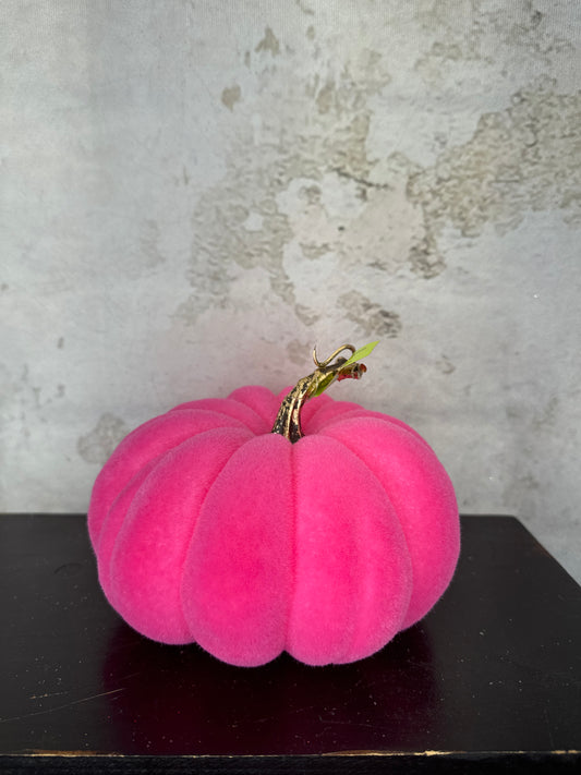 Flocked Pumpkin  56954 HotPink