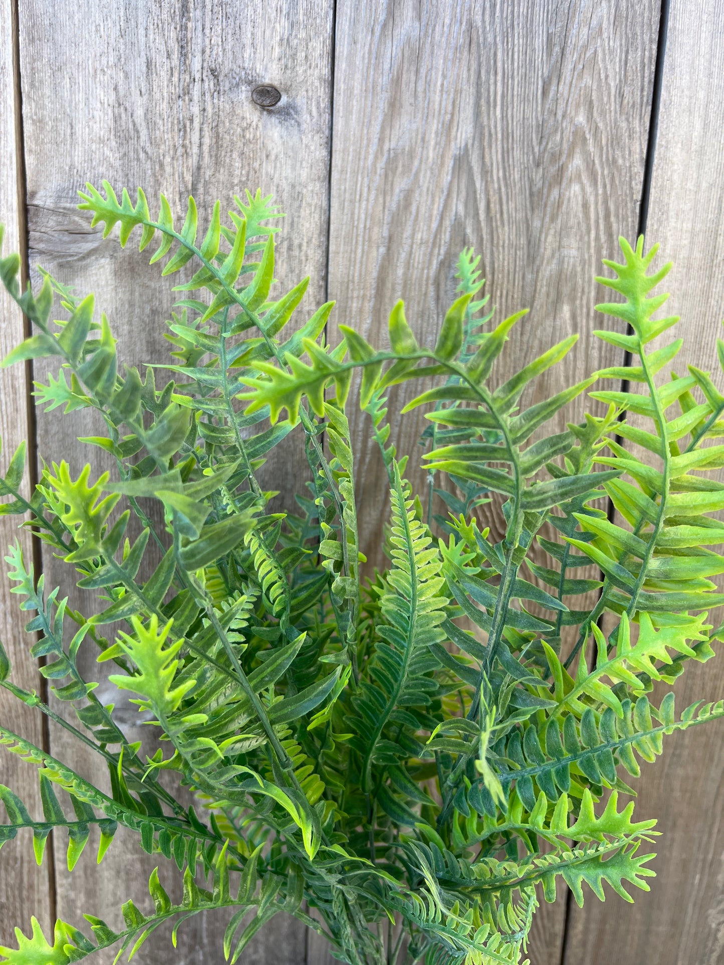 PLASTIC FERN BUSH   83353-FROSTED