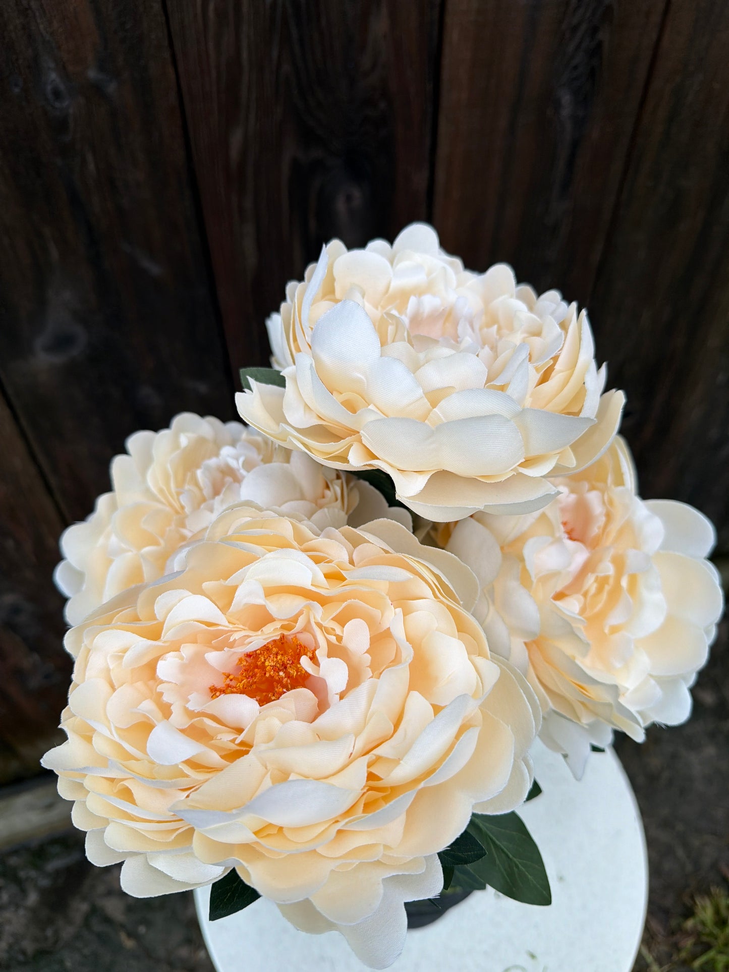 PEONY BUSH    85212-BG