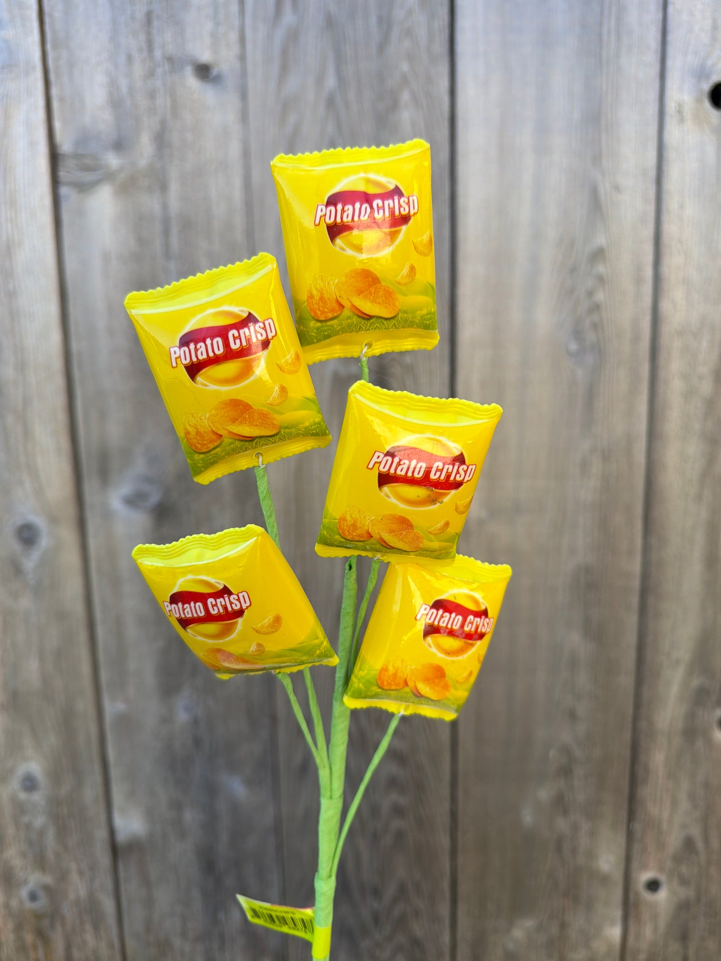 Chips Pick  63885CHIPS