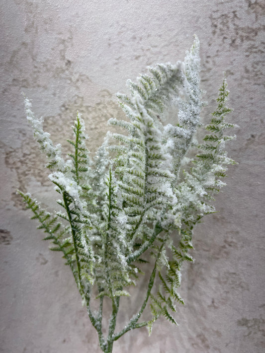 Snow Fern Pick   XP551128-068